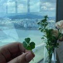 가야빌딩 | 서울 영등포구 한강뷰 63빌딩 레스토랑 워킹온더클라우드 런치 벨로 코스 후기