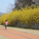 달님민박 이미지