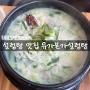 보문산로 | 대전 설렁탕 맛집 유가본가설렁탕 방문 후기 맛보기 수육 돌솥 도가니탕 수육