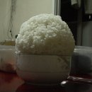 고봉 Daum카페
