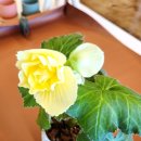 열이농장 이미지