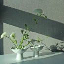 온기도자기 이미지