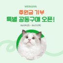 고양이 습식캔 웨루바 후원금기부 특별공구 할인(한가지맛, 14개/28개 무배) 이미지