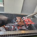 천북농협하나로마트 이미지