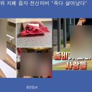 김해중앙여자중학교