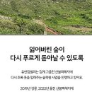 유한회사강산에