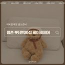 제노스템 안양고객센터 | [평촌 롯데백화점 베이비페어 후기] 소베맘·유봄클로젯·하이비 내돈내산