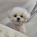 (주)게이즈 | 2월 넷째주