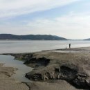 서해바다 이미지