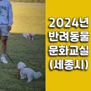 부산경상대학교 반려견유치원 | 2024년 반려동물 문화교실 (세종시) 강의