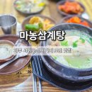 마농 | 제주 중복 보양식 추천! 서귀포삼계탕맛집 마농삼계탕 방문 후기