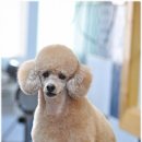 푸랑