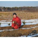 둔포농장 이미지