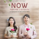 나우결혼정보회사 이미지