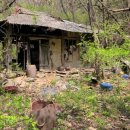 화전민촌 이미지