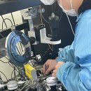 모두가 배우는 세계사(하반기) | 2025 하반기 취준 결산 +반도체 취뽀후기