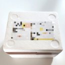 다온가 | 겨울 보양식으로 딱인 굴 국밥! 미다온가 굴 국밥 밀키트 후기!