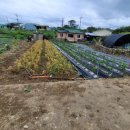 효리경로당 이미지