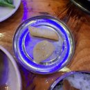 박가뼈다귀 이미지