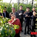 부여원예영농조합 이미지