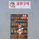 종점 당구장 이미지