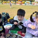 대전아이사랑어린이집 | [직장어린이집 후기④] 특활 프로그램이 알찬 이유, 도시락 준비 없는 소풍까지!