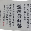 늘처음처럼 이미지