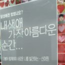 신아원 봉사번개 이미지