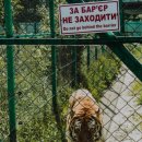 맛골감자탕 이미지