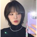 샤밍헤어 네이버블로그