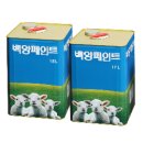 바이켐