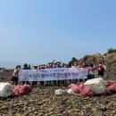 도리도
