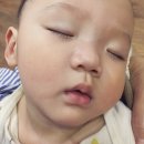 서울아동병원(내서읍)