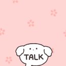 봄날의댕댕