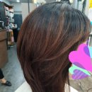 에쓰에쓰 이미지