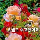 올바른마음