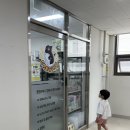 고양 일산 크레스티드 분양 ‘크레윙’ / 도마뱀 분양 후기