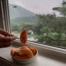 [해삐지니여행] 제천 ES리조트