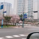 라라코스트(북항점) 이미지