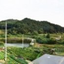 용인나비 네이버블로그