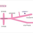엔젤식품 이미지