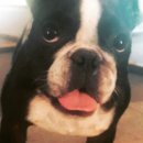 사림동114 이미지