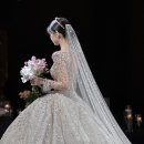 라플레르 티스토리