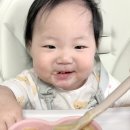 {이유식용품} 이쁜 아기 방수턱받이 추천, 키스앤블러썸 앨리스 프릴 방수빕 사용 후기
