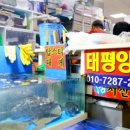 미나리 수산 이미지