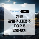 계란 관련주 대장주 TOP 5 (업데이트) 알아보기