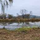 열린행정사 이미지