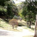 구봉산 가는길 이미지