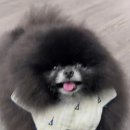 정체불명