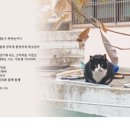 수호쉼터